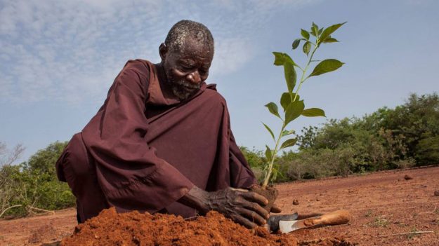 Voici « l’homme qui arrête le désert » grâce à une technique ancestrale