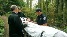 Un ancien arpenteur forestier fait une dernière visite dans la forêt de l’État de Washington avant de mourir