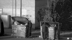 Jugés pour avoir récupéré de la nourriture dans les poubelles d’un supermarché