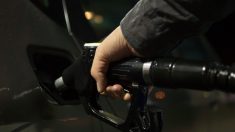 Elle lance une pétition contre la hausse du prix des carburants, elle recueille déjà plus de 192 811 signatures