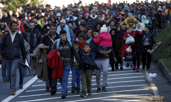 Espagne : Migrations  sur les Pyrénées-Orientales. (Capture d’écran Tweeter@Orizan25)