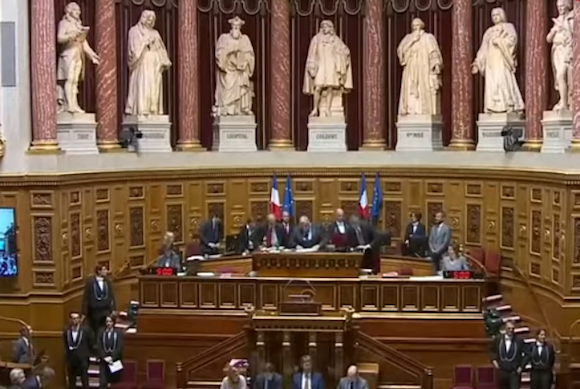 Le Sénat vote contre la hausse des taxes sur les carburants de janvier 2019. (Capture d’écran Public Senat Youtube)