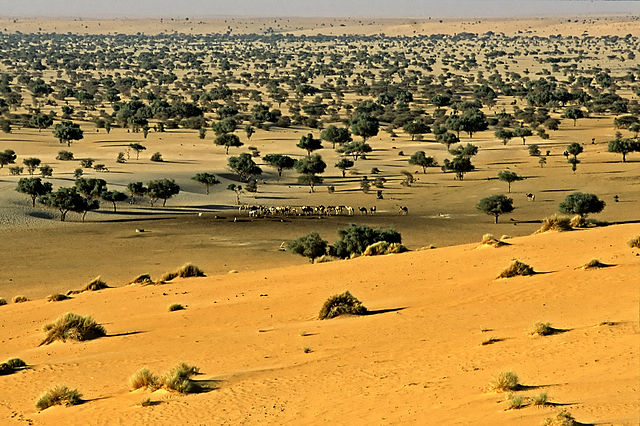 -La plus grande réserve naturelle d’Afrique. Image Wikipédia de Jacques Taberlet