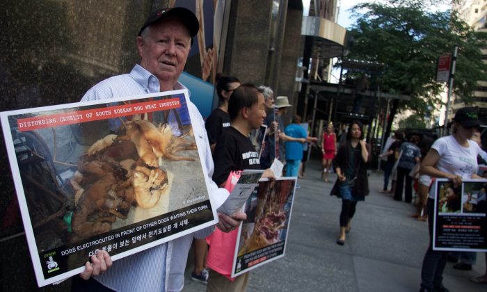 Les manifestants contre le festival sud-coréen Boknal Dog Meat se rassemblent au consulat sud-coréen à New York, le 27 juillet 2016. (Shanga Juckas, Epoch Times) 