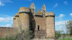 Deux-Sèvres – Mobilisation collective pour sauver le château de l’Ebaupinay de l’effondrement