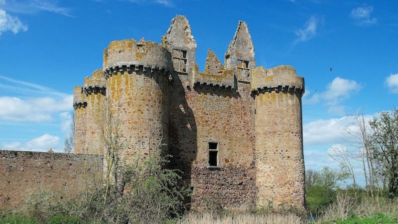 Le Chateau L'Ebaupinay (Wikipédia)