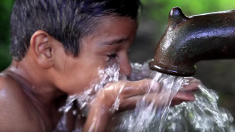 Ce conteneur produit chaque jour 2 000 litres d’eau à partir d’air – il pourrait révolutionner l’accès à l’eau potable