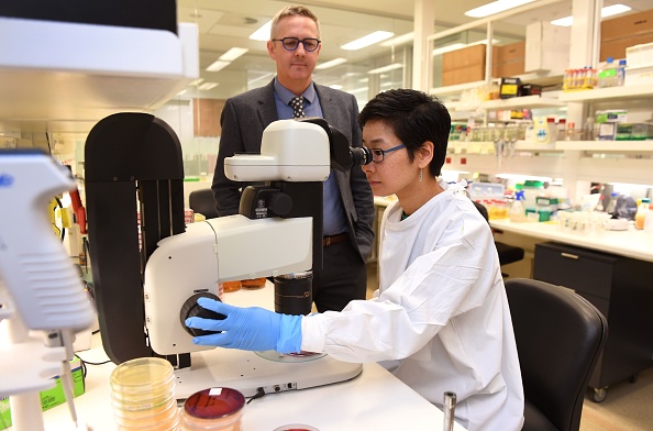 -Des scientifiques australiens ont averti le 3 septembre que des super bactéries résistantes à tous les antibiotiques connus peuvent causer des infections « graves », voire la mort, se propagent sans être détectées dans le monde. Photo WILLIAM WEST / AFP / Getty Images.