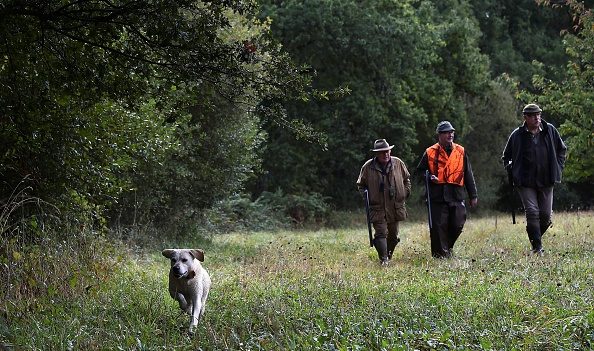 LIMOGES – Un chasseur de 88 ans a été agressé par 3 individus lors d’une battue au sanglier