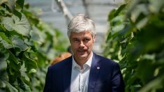 Carburants : Laurent Wauquiez  participera à une manifestation le samedi 17 novembre dans son département