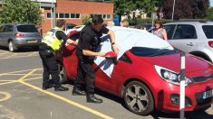 « Il n’y a pas d’excuse à cela » : des policiers brisent une vitre pour sauver des chiens prisonniers de la chaleur étouffante d’une voiture