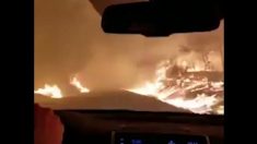 INCENDIES CALIFORNIE – Elle filme sa course contre la mort au volant de sa voiture et prie de toutes ses forces pour s’en sortir