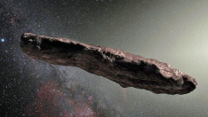 Astéroïde Oumuamua : l’hypothèse extraterrestre est relancée