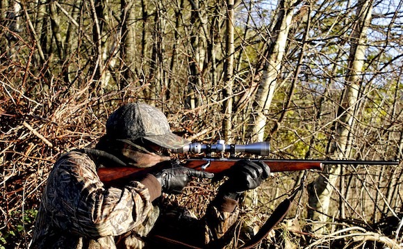 Fondations et associations s'associent pour "dénoncer les excès" de la chasse. (Photo Pixabay)