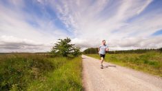 Chasse : un joggeur touché par des projectiles de plomb