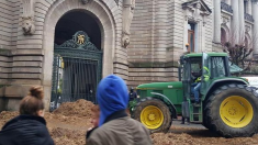 Rien ne va plus : manifestation nationale des agriculteurs prévue pour la semaine prochaine