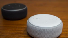 Un garçon de 6 ans a été surpris en train de tricher pour faire ses devoirs, à l’aide d’Alexa