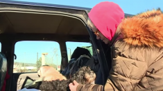 JURA – La dure vie d’une retraitée de 74 ans : elle vivait dans sa voiture avec ses 2 chiens