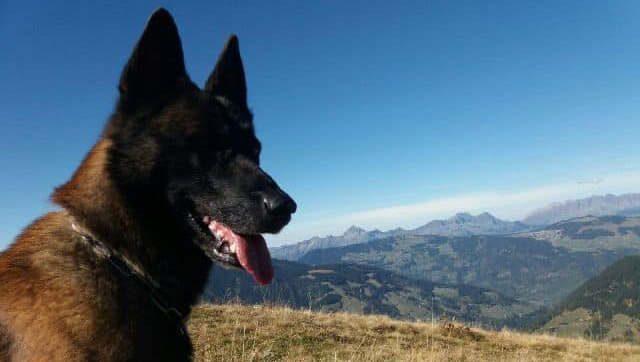 Crédit : Gendarmerie de la Savoie