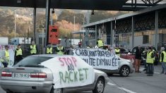 Revendications des « Gilets jaunes » : des demandes approuvées par les trois quarts des Français