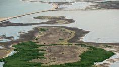 Les Pays-Bas construisent cinq nouvelles îles pour la biodiversité