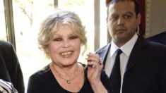 Brigitte Bardot demande à Emmanuel Macron un « miracle » de Noël pour les animaux