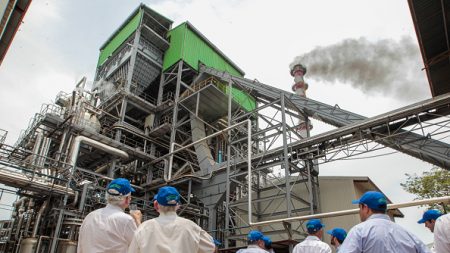 A Maurice, tout est bon dans la canne à sucre, même l’électricité