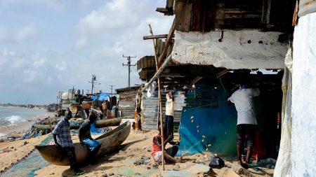 Le Liberia protège les requins pour sauver ses petits poissons