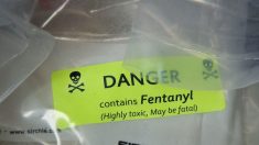 Mexique : saisie record de fentanyl et de précurseurs chimiques à la veille de l’investiture de Donald Trump