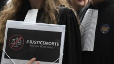 Nouvelle « journée morte » des barreaux contre une réforme de la justice « au rabais »