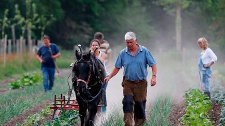 « Agri-bashing »: les agriculteurs sous-estimeraient leur bonne image dans le public