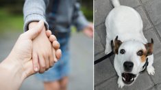 Un chien menaçant fait fuir un kidnappeur qui a tenté d’enlever sa jeune maîtresse âgée de 10 ans