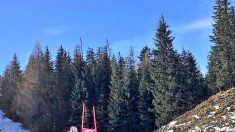 Ski alpin/Wengen/Combiné: deuxième victoire de l’année pour Marco Schwarz