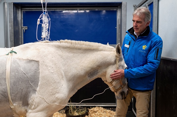 -Directeur du Centre de santé équine, Olivier Lepage se tient à côté d'un cheval avant une opération à la clinique équine, le 20 novembre 2018 à Marcy-L’étoile, près de Lyon. Photo ROMAIN LAFABREGUE / AFP / Getty Images.