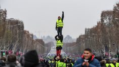 « Gilets jaunes » : la Fédération française de boxe condamne les agissements d’un boxeur