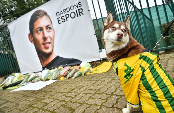 -Un husky portant un maillot du FC Nantes regarde le portrait de l'attaquant argentin Emiliano Sala avant une séance d'entraînement en équipe à La Joneliere à La Chapelle-sur-Erdre, dans l'ouest de la France, le 24 janvier 2019. Photo LOIC VENANCE/AFP/Getty Images.