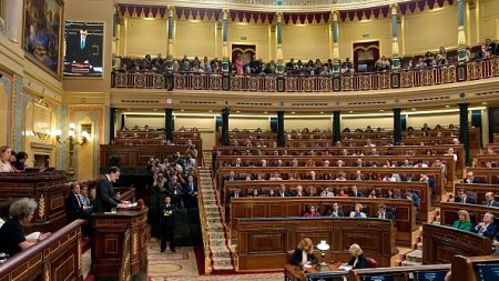 Espagne: l’extrême droite entrerait au parlement donnant la majorité à la droite (sondage)