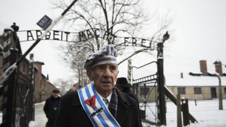 Le taux d’assassinats de l’Holocauste nazi est bien plus élevé que ce que l’on pensait et les chiffres n’ont baissé que lorsqu’il n’y avait plus personne à tuer