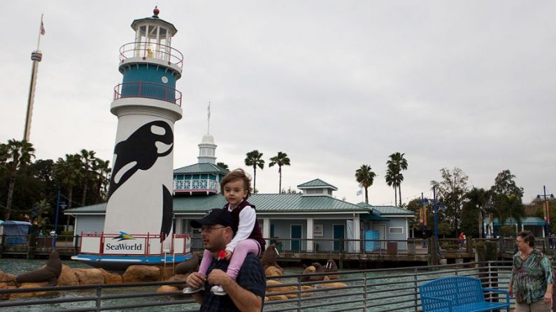 Les invités quittent le parc à la fin de la journée à SeaWorld à Orlando, en Floride, le 24 février 2010. (Photo par Matt Stroshane/Getty Images) 