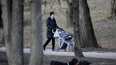 Normandie : un groupe de jeunes lance une bouteille enflammée sur une grand-mère promenant ses petits-enfants