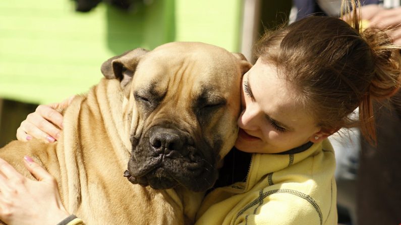 La "Saint-Valentin des animaux" sera fêtée dans 62 refuges de la SPA les 9 et 10 février 2019 - Crédit : Pxhere
