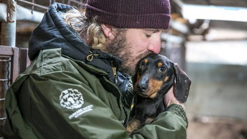 Jack Finn-Kelcey, intervenant sur le terrain pour HSI, embrasse un des chiens rescapés lors du sauvetage du vendredi 13 février 2019 à Hongseong-gun en Corée du Sud - Crédit : Jean Chung/For HSI