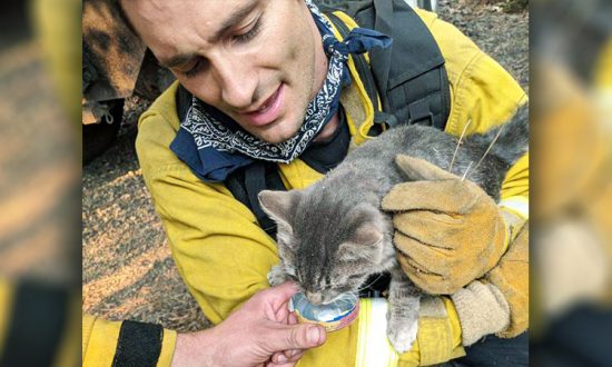  (Facebook | Service des incendies de la ville de Foster)