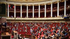 Loi « Anticasseurs » : plusieurs abstentions voire oppositions de députés LREM