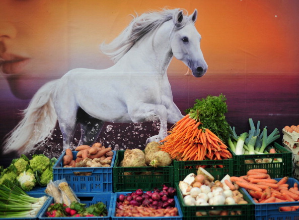 -L’Agence française du commerce d’équidés donne le chiffre de 95.000 transactions enregistrées chaque année (pour les chevaux de sport et de loisirs). Photo d’illustration JOHANNES EISELE / AFP / Getty Images.