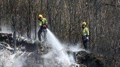 Nouvelle-Zélande: Un important feu de forêt risque de durer des semaines