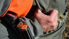 Un chasseur vise un sanglier et touche une voiture avec trois enfants à bord