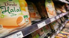 Pas de label bio pour les viandes certifiées halal issues de l’abattage rituel sans étourdissement préalable 