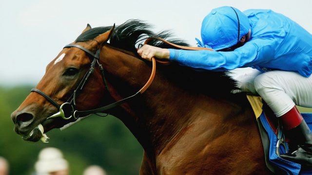 Une personne monte un cheval de course le 3 juillet 2004. (Julian Herbert/Getty Images)