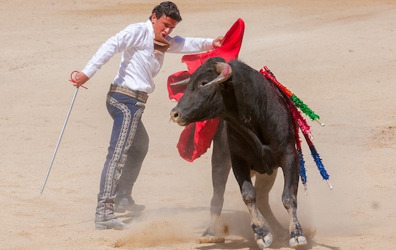 Corrida : faut-il interdire les écoles taurines aux mineurs ? (Photo d'illustration : Pixabay)